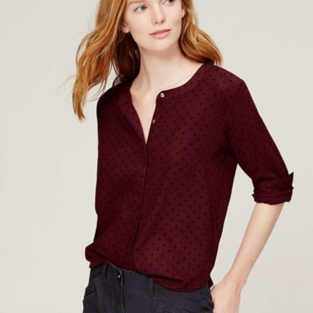 Ann Taylor LOFT The Softened Shirt Long Sleeve XS